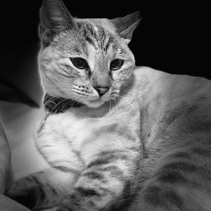 Meet your Posher, Carolyn